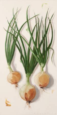 Onions